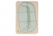 fa puzzle  - Jungle Jambo Croco Jungle Jambo Croco